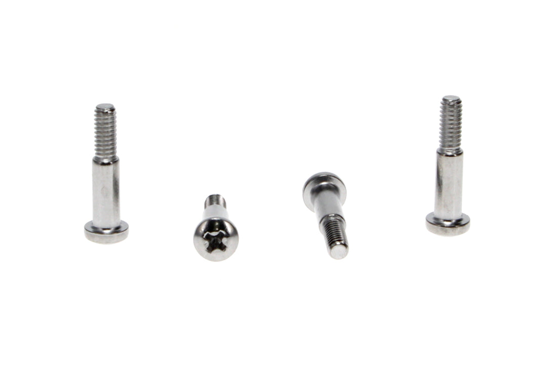 Park Lamp Lens Screws (4pcs)