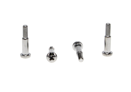 Park Lamp Lens Screws (4pcs)